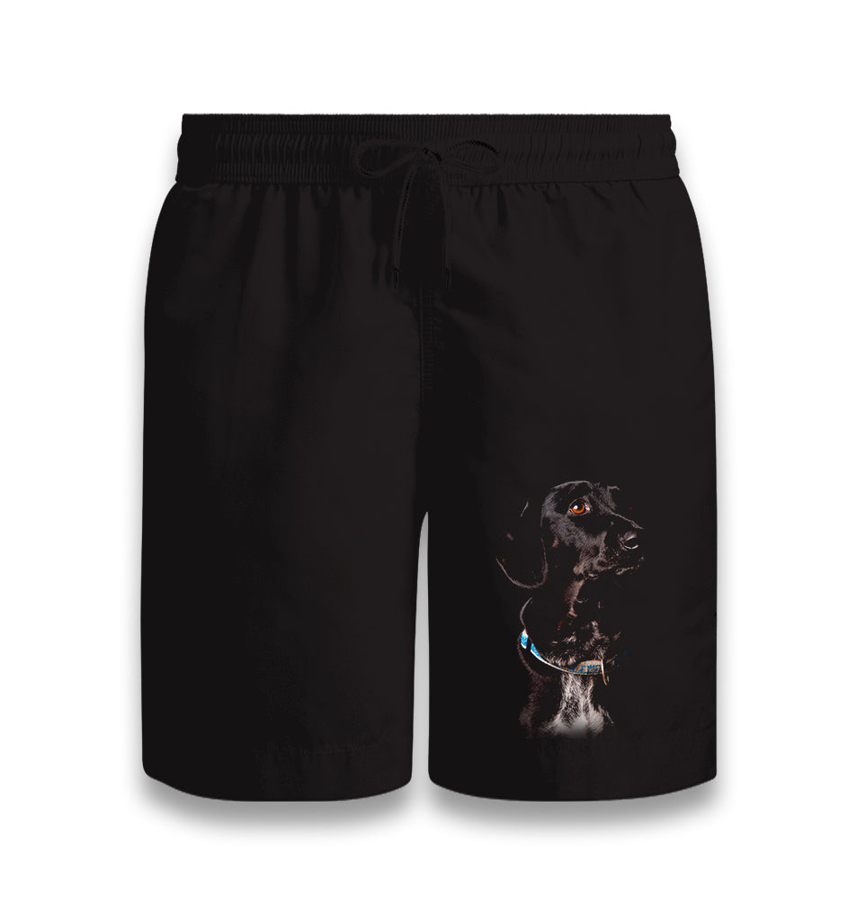 Doggy Dog Black Shorts - Premium  from W.E.N.S. WIND - Just 7990! Shop now at W.E.N.S. WIND