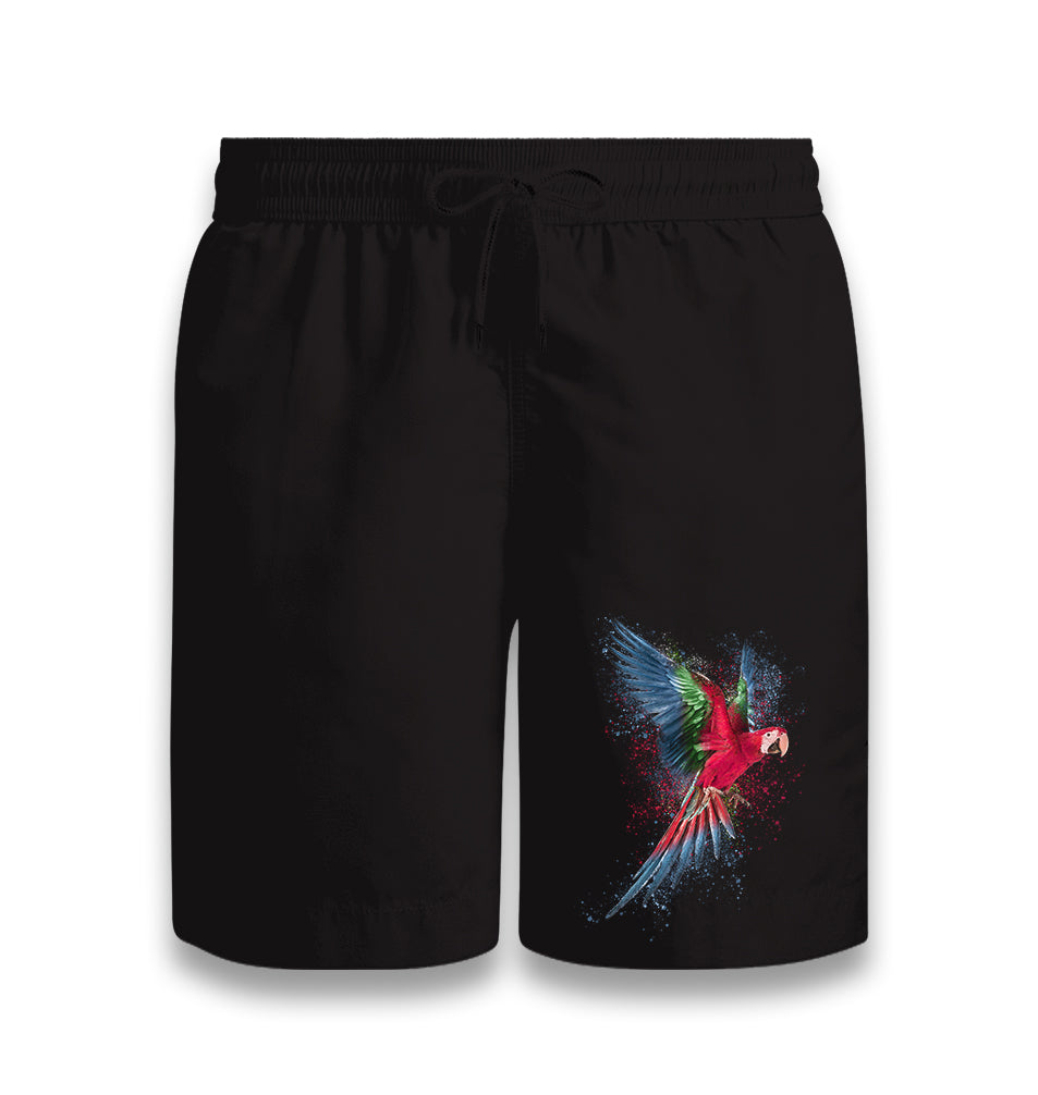 Parrot Splashing Colors Black Shorts - Premium  from W.E.N.S. WIND - Just 7990! Shop now at W.E.N.S. WIND