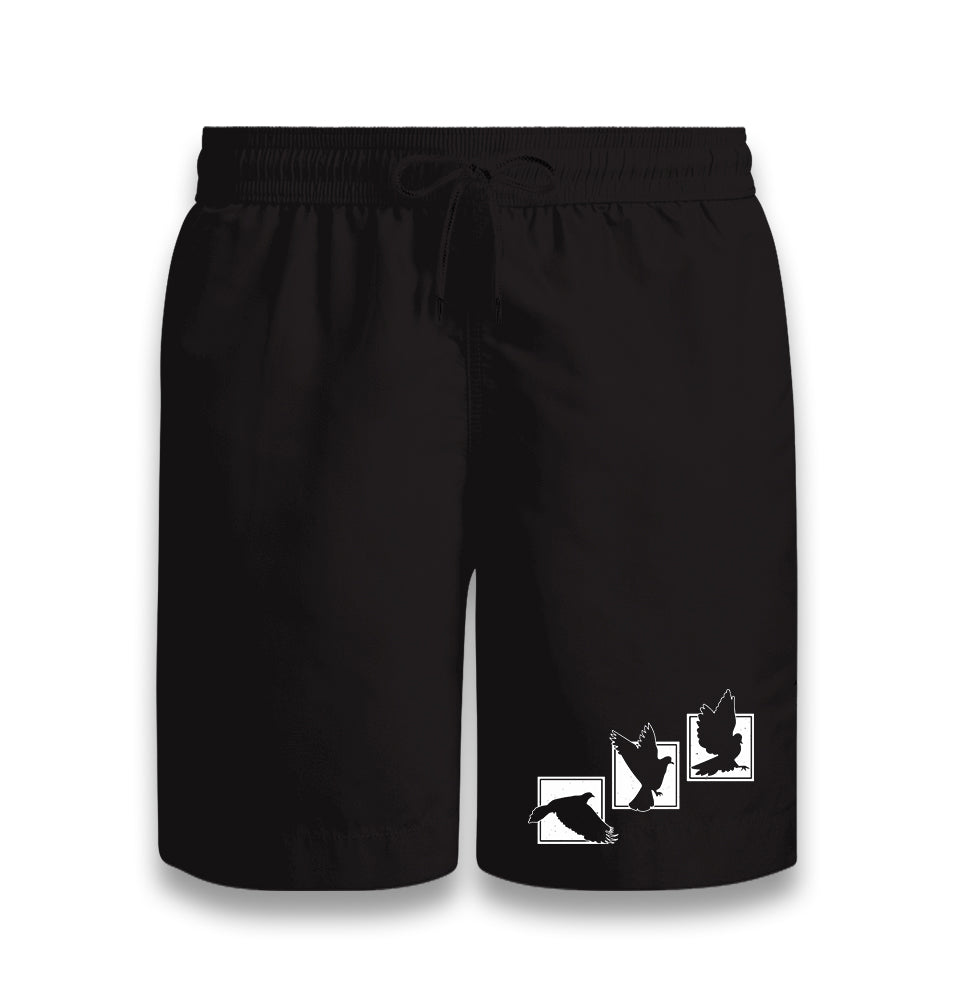 Birds Flying against Frames Black Shorts - Premium  from W.E.N.S. WIND - Just 7990! Shop now at W.E.N.S. WIND