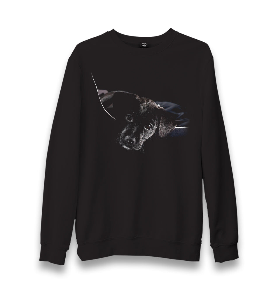 Black Puppy Unisex Black Sweatshirt - Premium  from W.E.N.S. WIND - Just 10990! Shop now at W.E.N.S. WIND