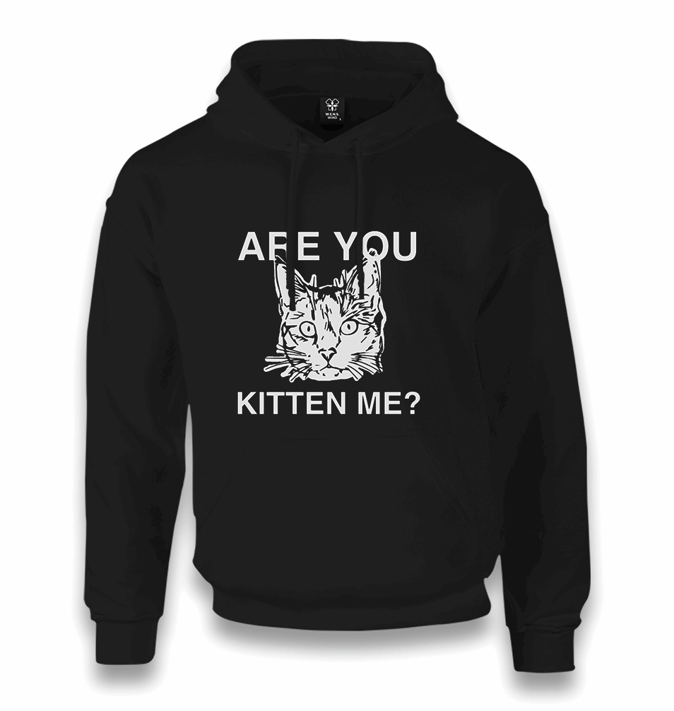 Are You Kitten Me Unisex Black Hoodie - Premium Unisex Hoodie from W.E.N.S. WIND - Just 11990! Shop now at W.E.N.S. WIND